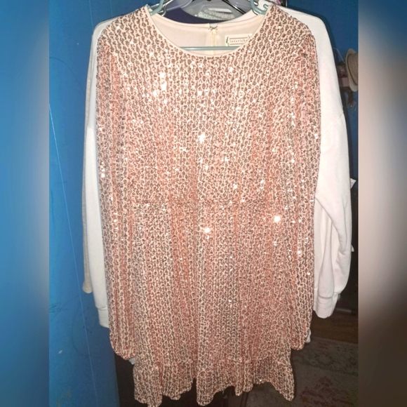 Rose Gold Sequin Dress with Bishop Sleeves - Picture 2 of 3